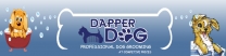 Dapper Dog